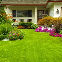 Sports Synthetic Grass Lawn